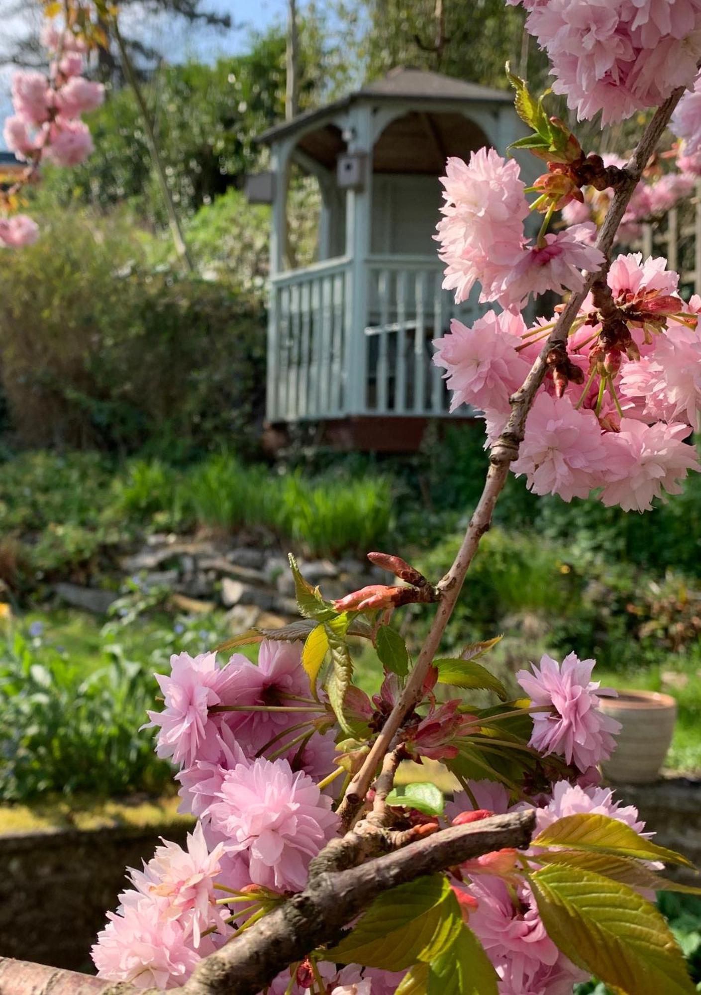 Ellen House Bed And Breakfast 매틀록 외부 사진